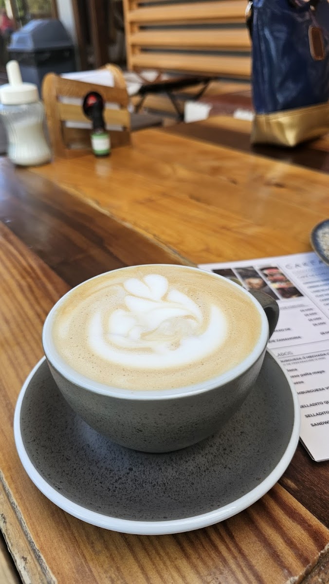 Eleganza Coffee roaster - 5