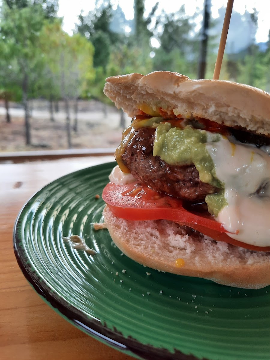 Eleganza Coffee roaster - 8