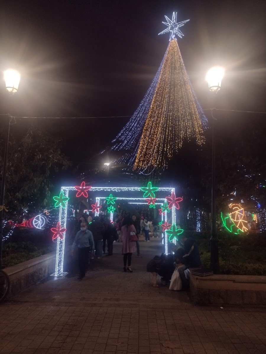 Cafetería Margarita