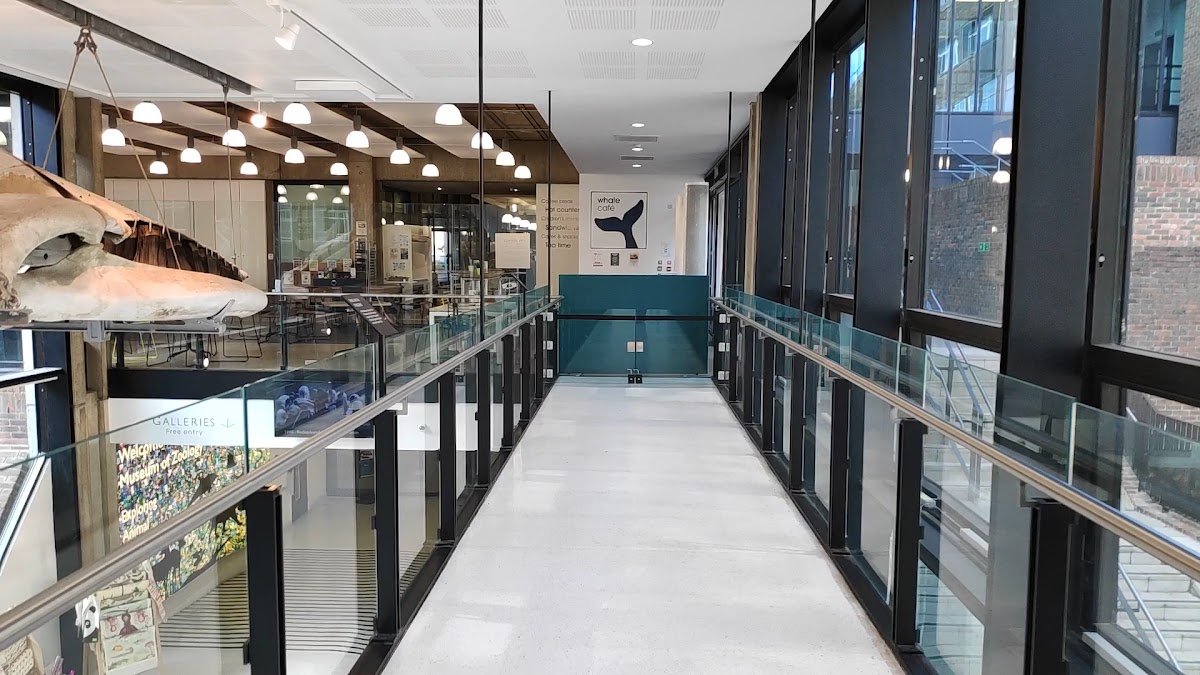 Whale Cafe - 2