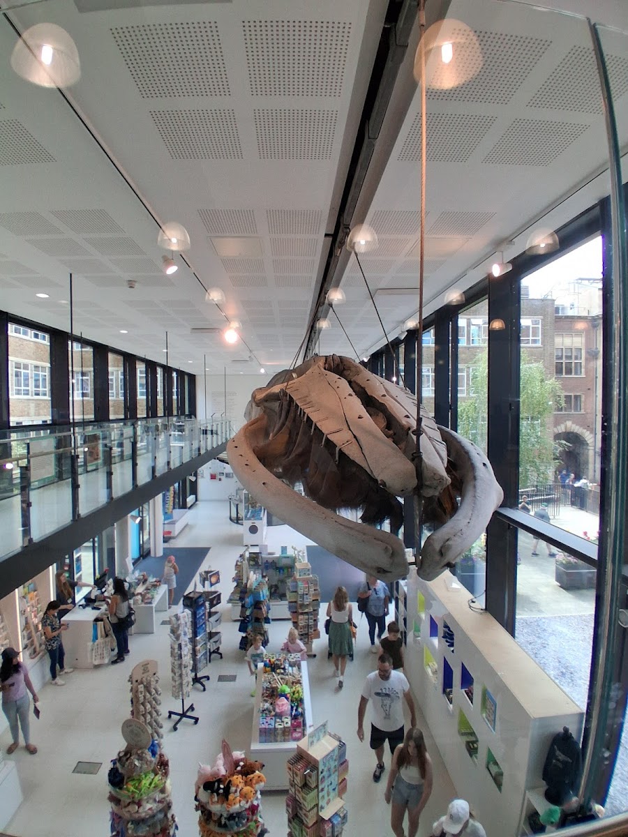 Whale Cafe - 4