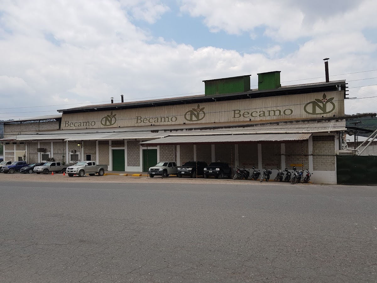 Beneficio de Café MonteCristo