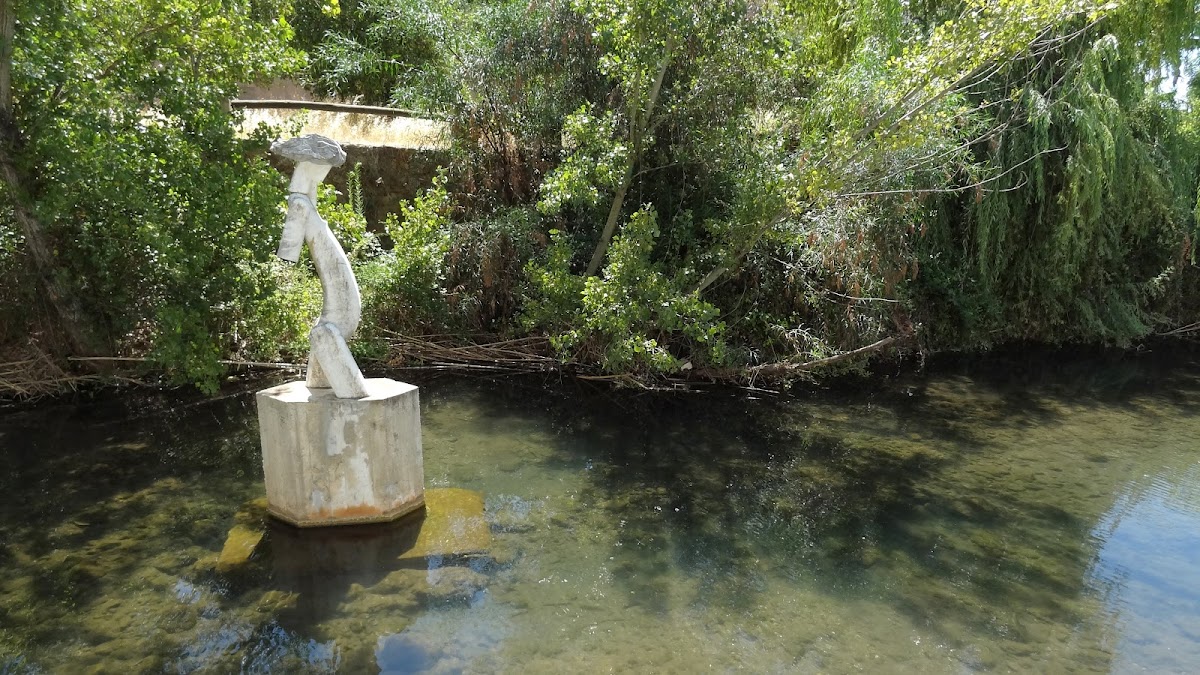 Márcio José Coelho Lima - 4