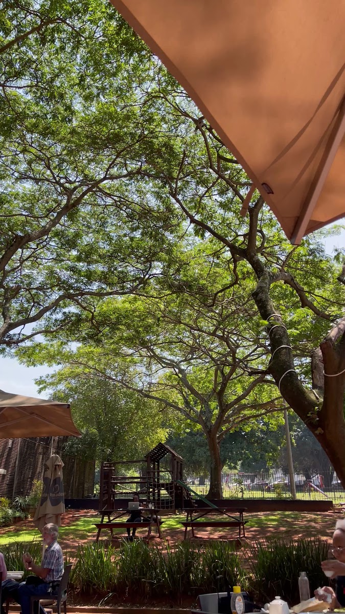 The KZNSA Arts Cafe - 2