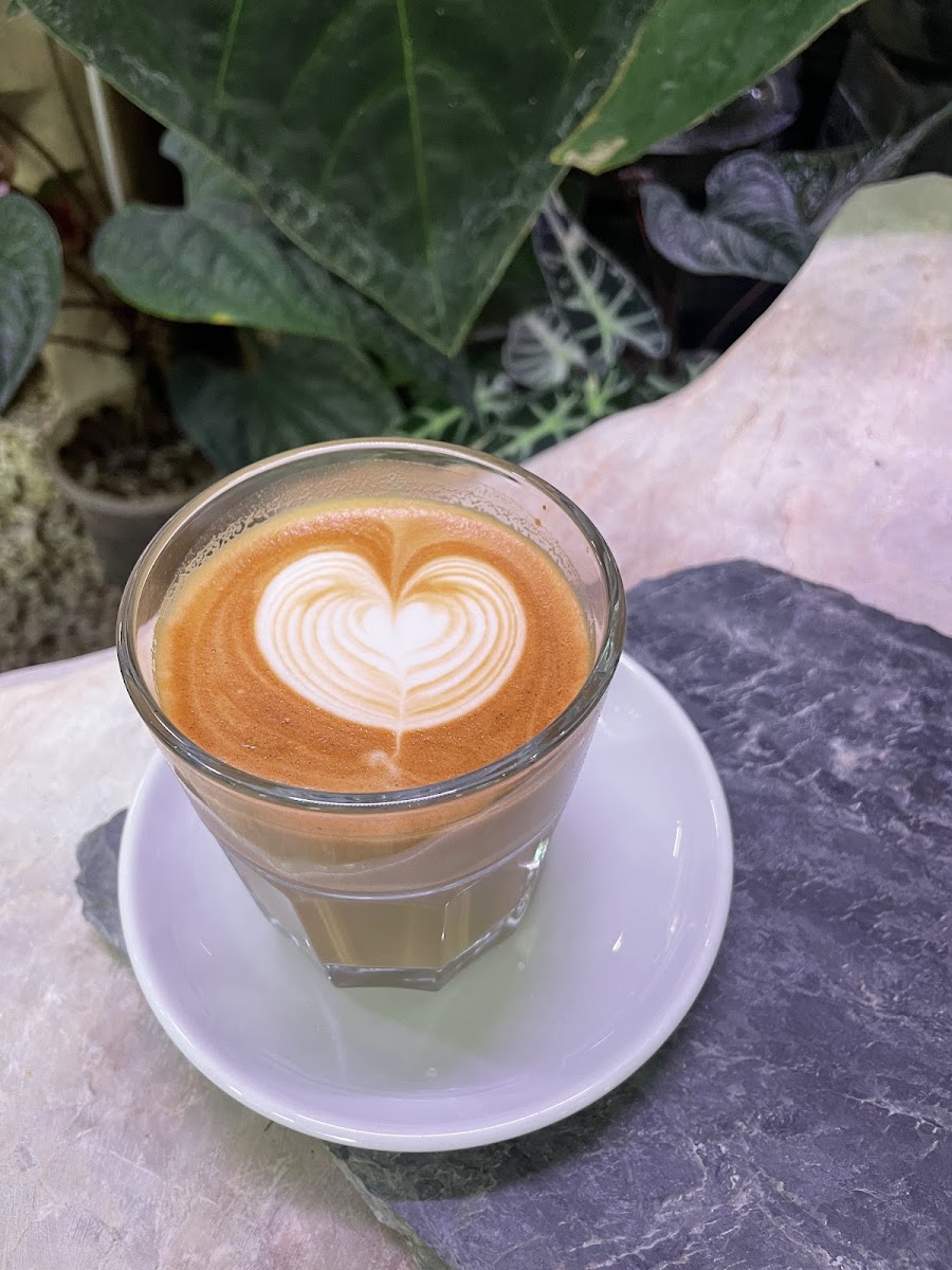 Rosetta Coffee Roaster - 4