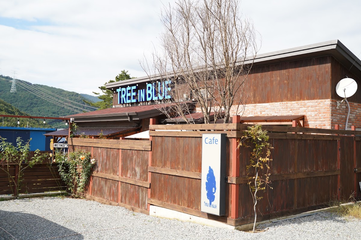 Cafe Tree In Blue
