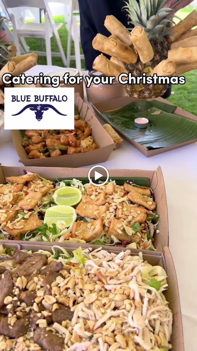 Blue Buffalo Cafe - 2