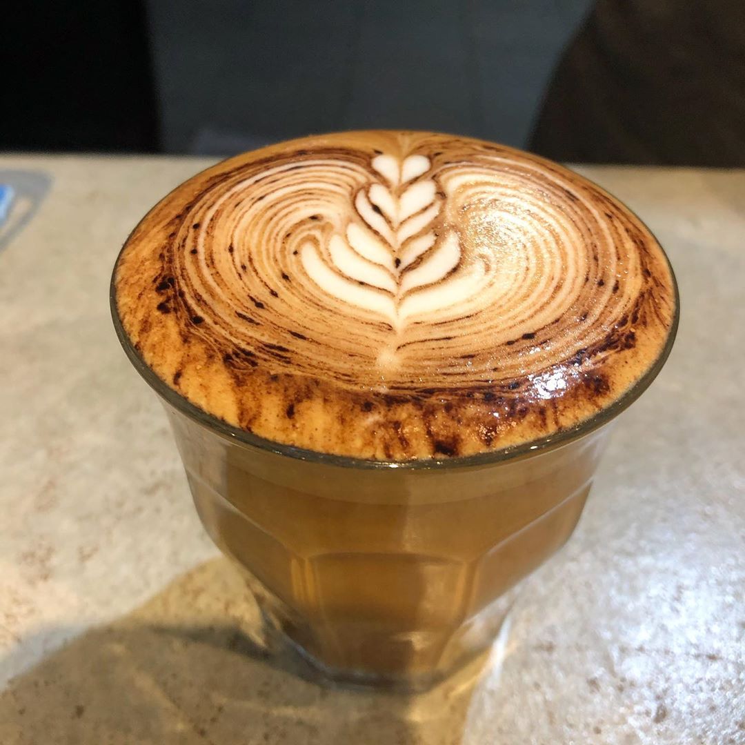 Chinchilla Xpress - 2