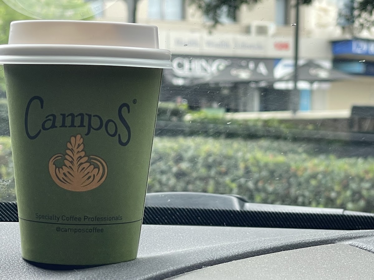 Chinchilla Xpress - 3