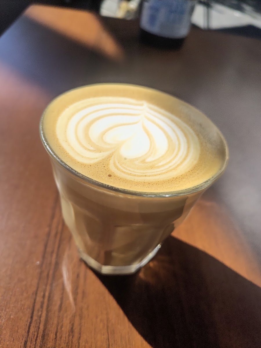 Chinchilla Xpress - 5