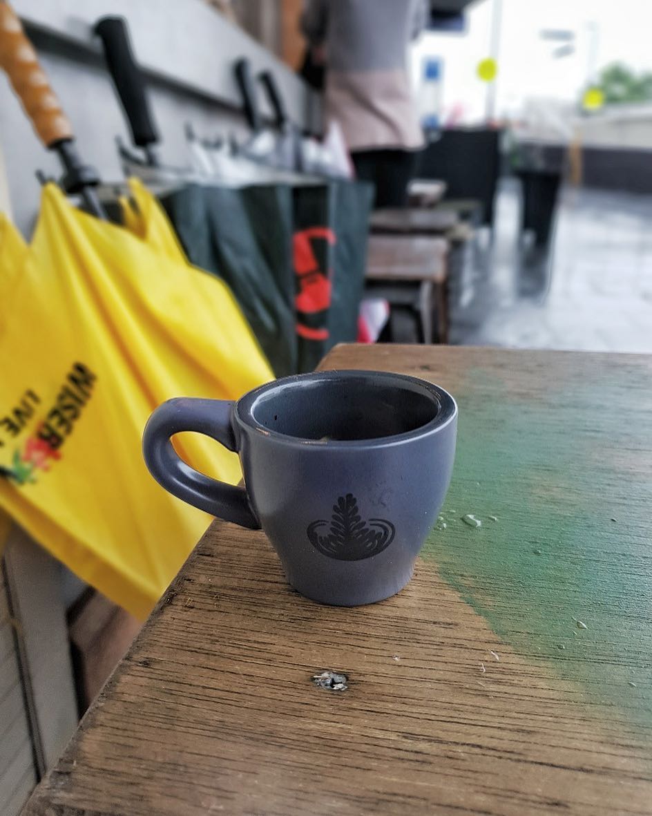 Chinchilla Xpress - 9