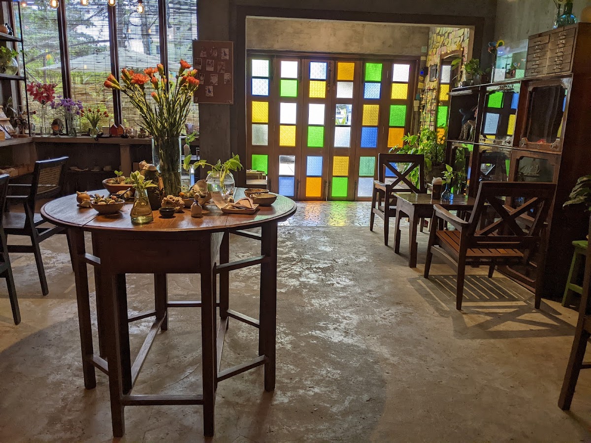 The Plant House - Thu mingalar - 4