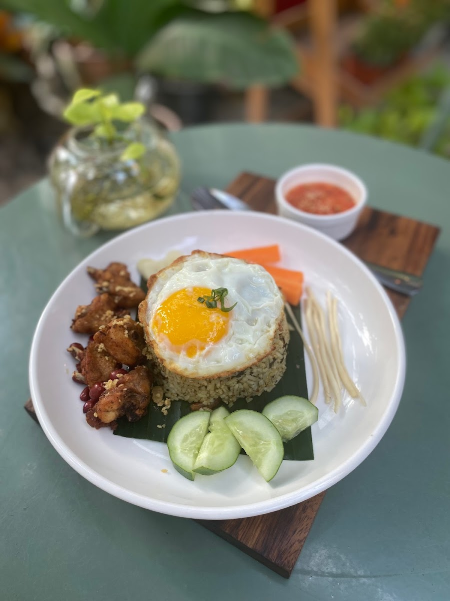 The Plant House - Thu mingalar - 7