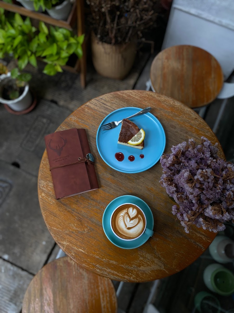 The Plant House - Thu mingalar - 9