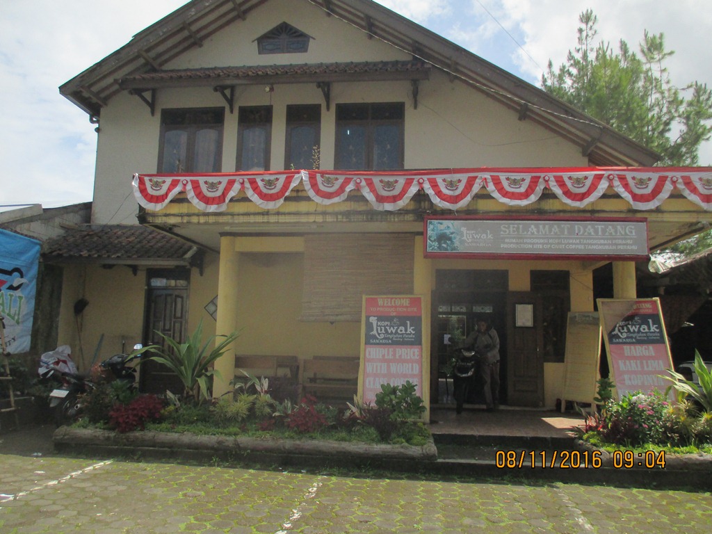 Kopi Luwak SAWARGA