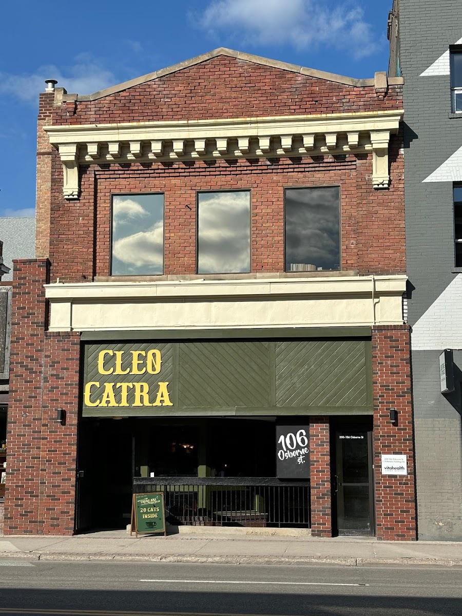 Cleocatra Café - Cat Cafe/ Osborne Village