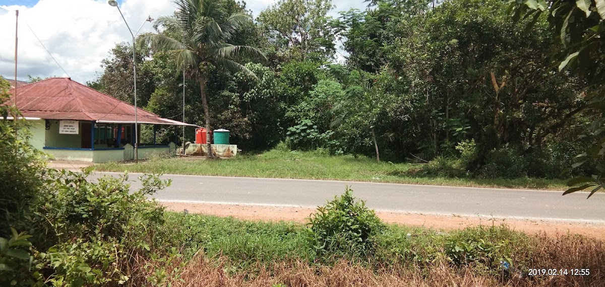 Cafe Big Family And Cars Wash - 2