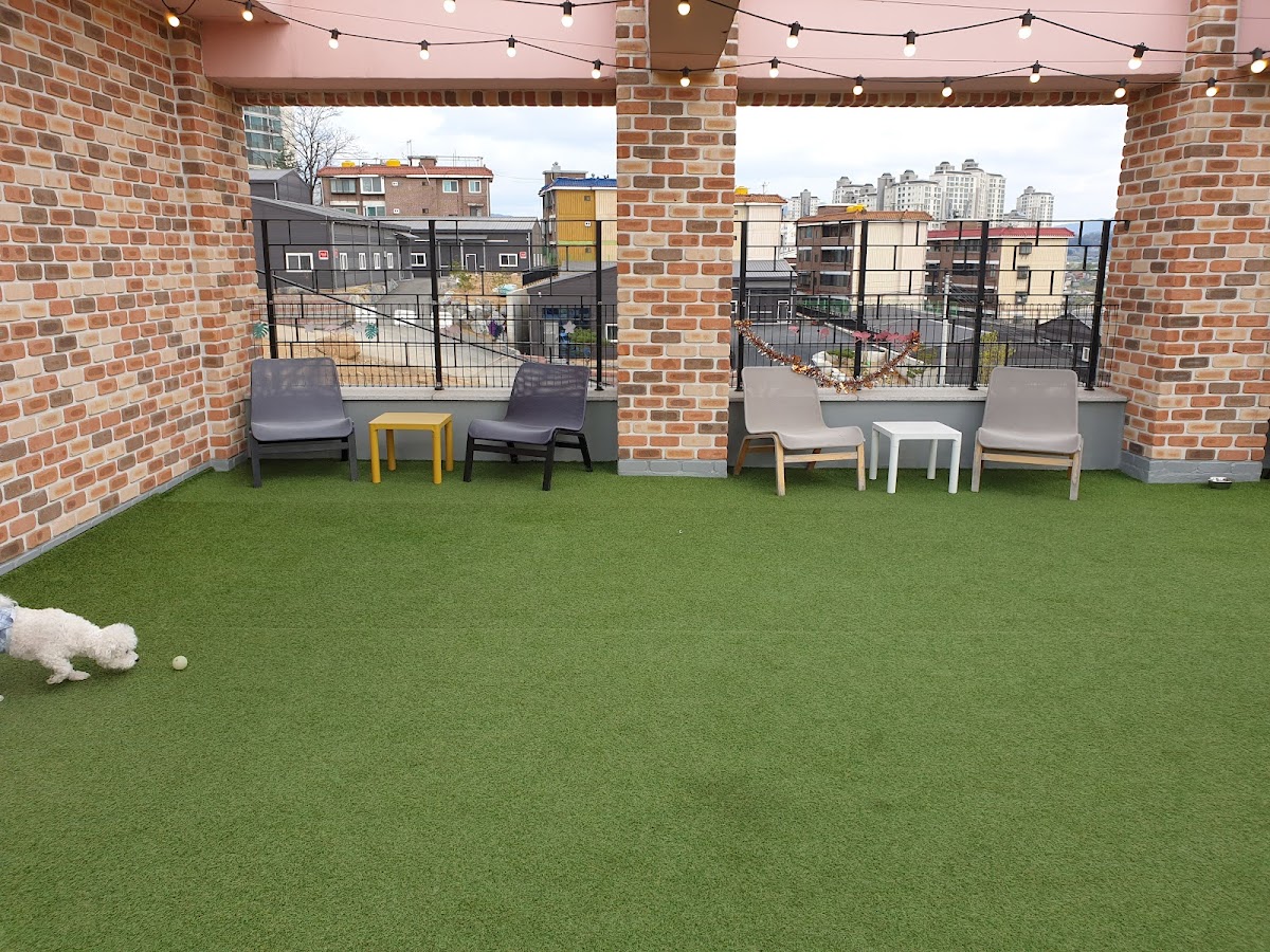 ONSIDE-CAFE with pet - 2