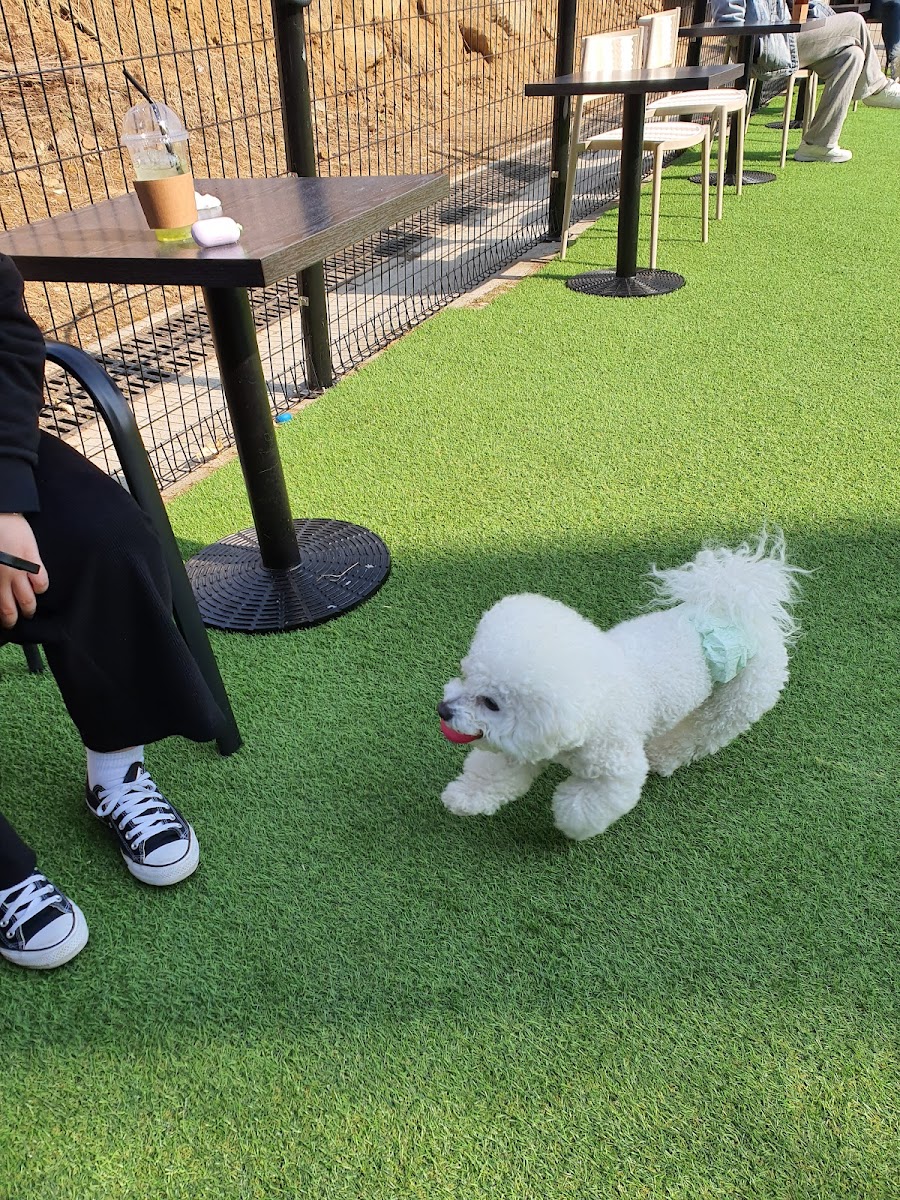 ONSIDE-CAFE with pet - 3