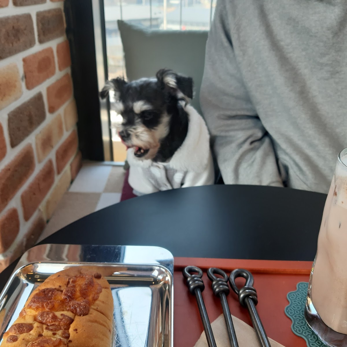 ONSIDE-CAFE with pet - 5