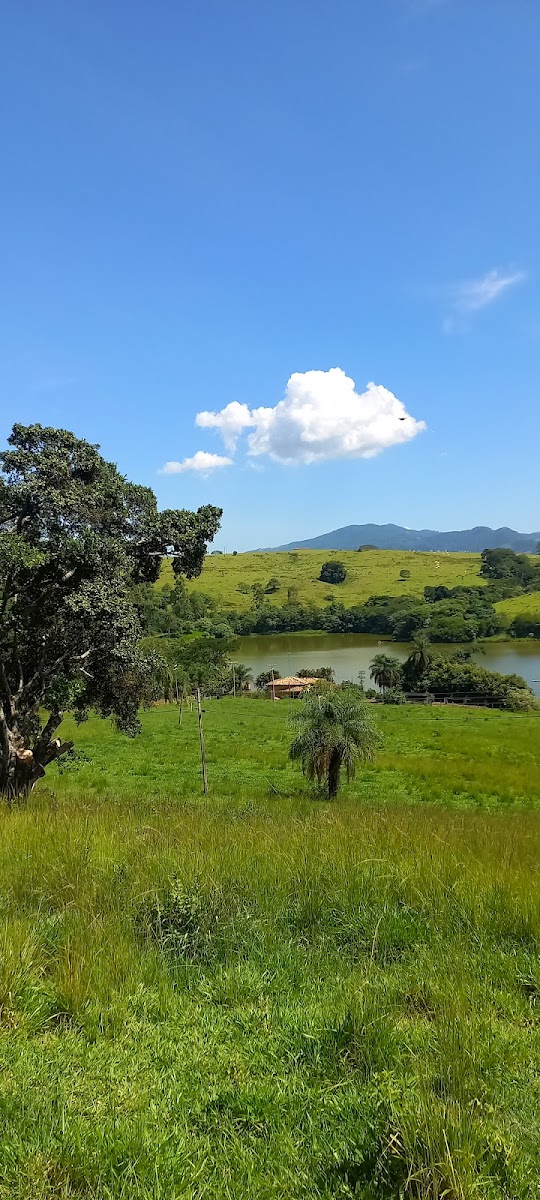 Fazenda Aliança - São João da Boa Vista - 3