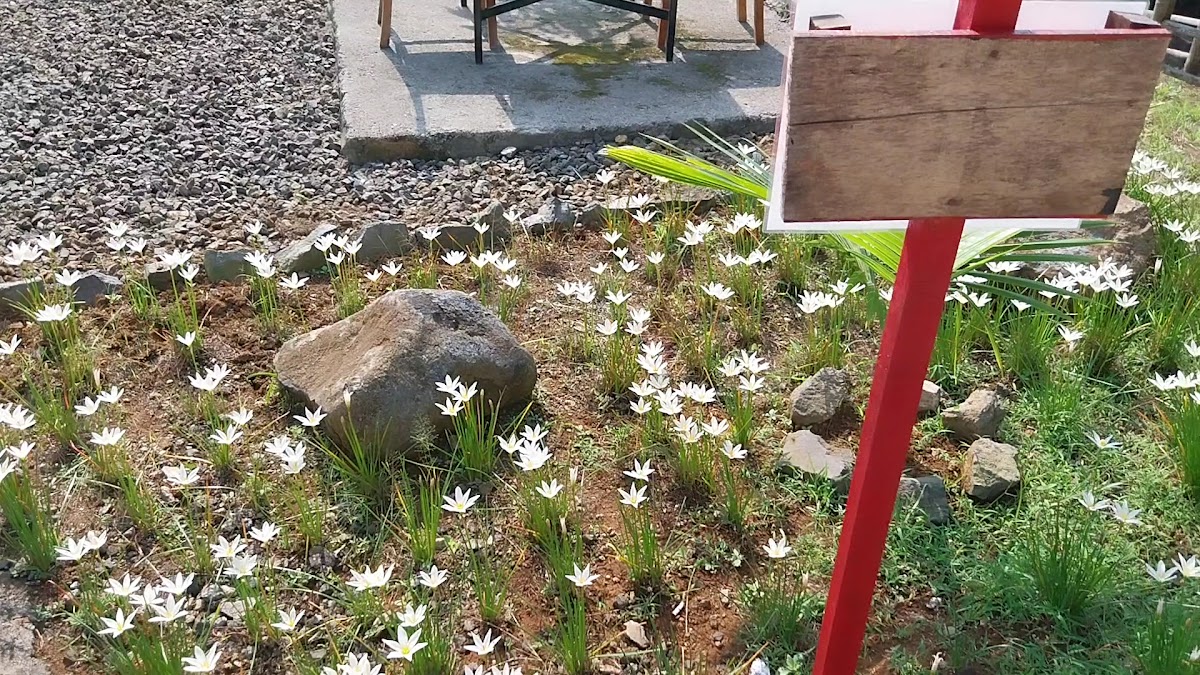 Permata Palasari coffee & Eatery - 2