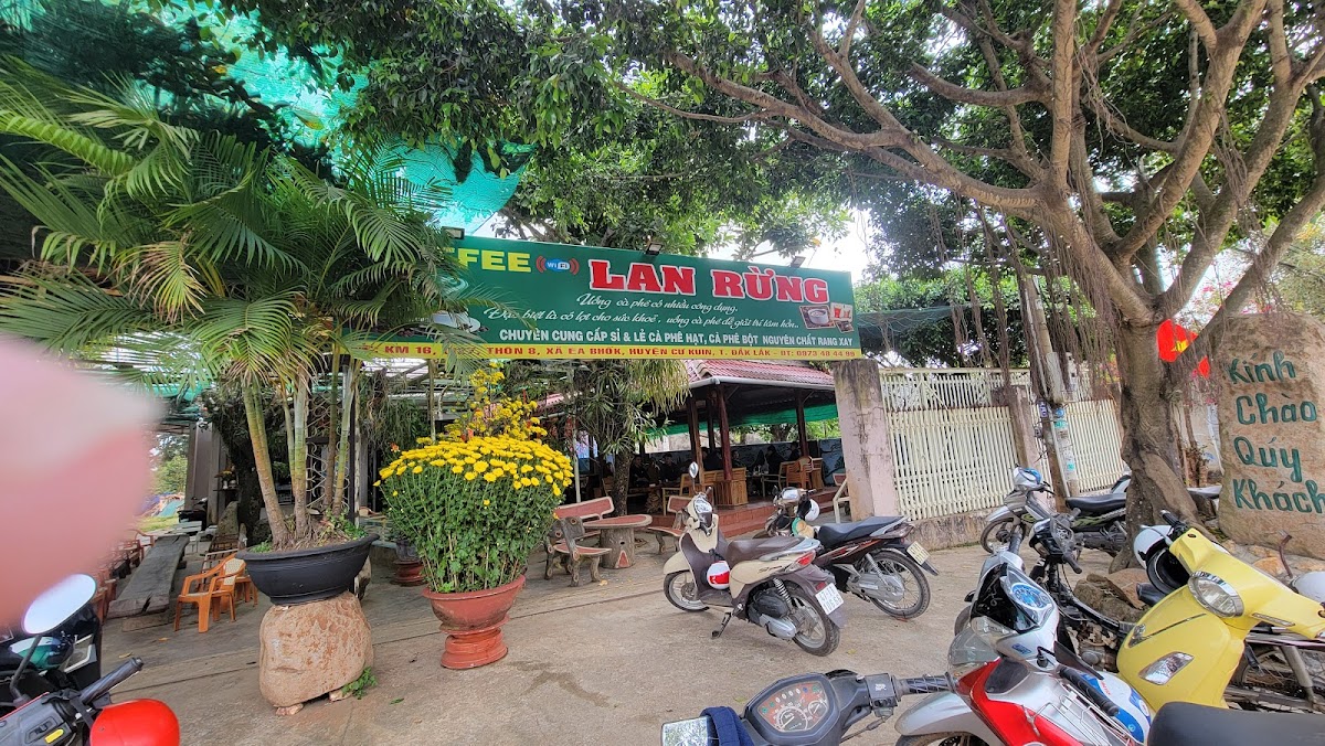 Coffee LAN RỪNG - 3