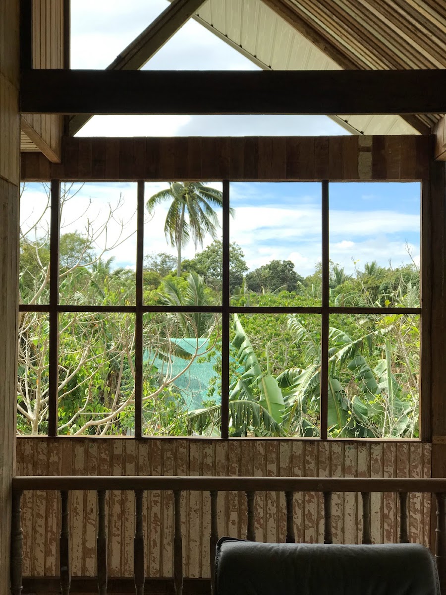 Alitaptap Art Cafe - 4