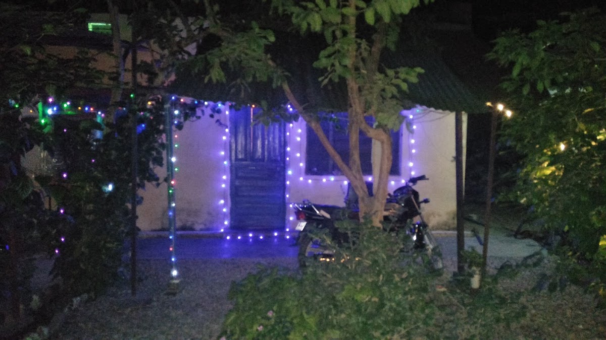 Moonlight Cafeteria - 3