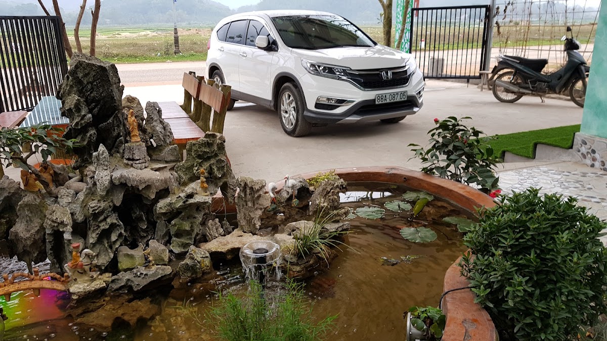 Cafe Xanh Tây Thiên - 4