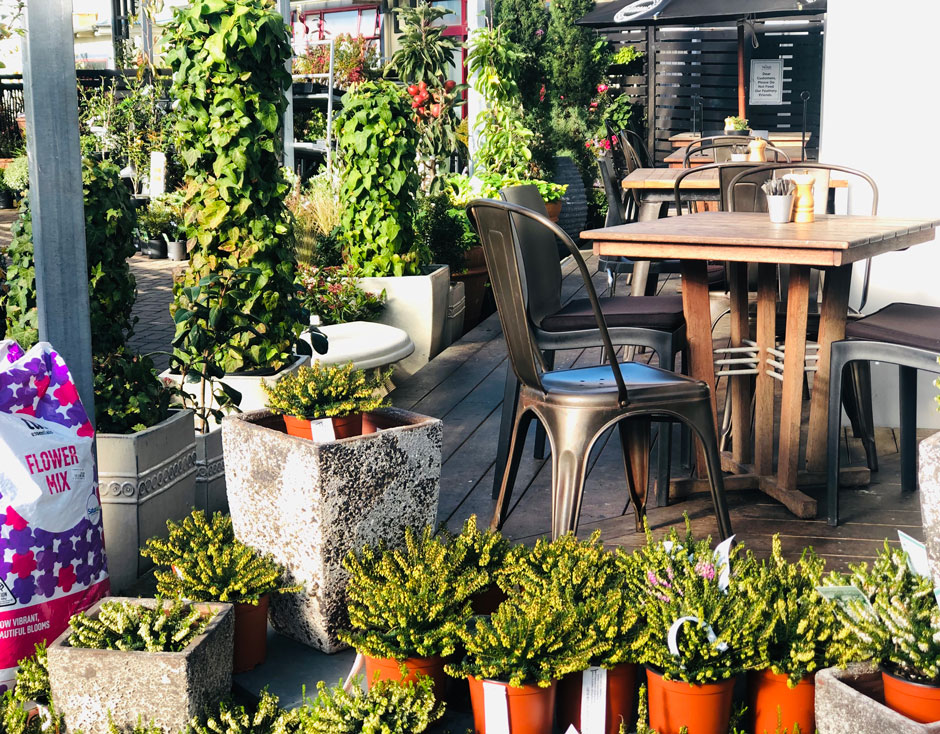 Nichol's Garden Cafe Dunedin