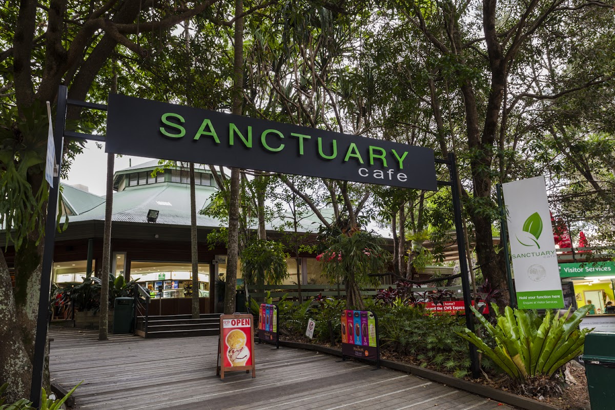 Sanctuary Cafe