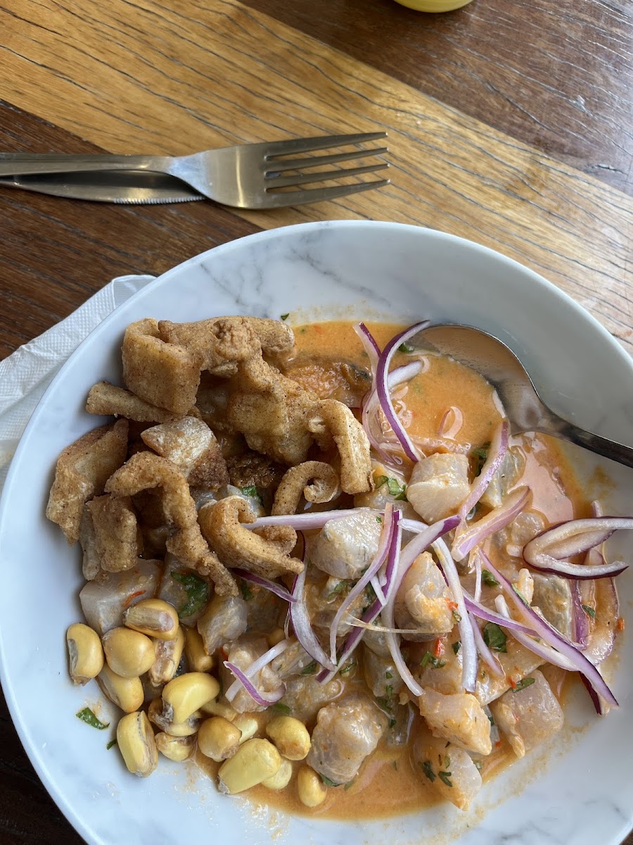 Terrace Espresso Cafe - 2