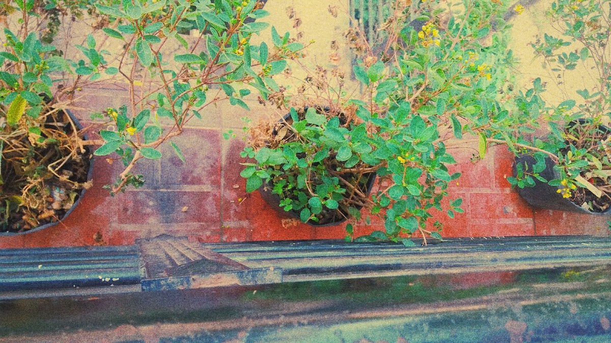 Cà phê Điểm Hẹn - 2