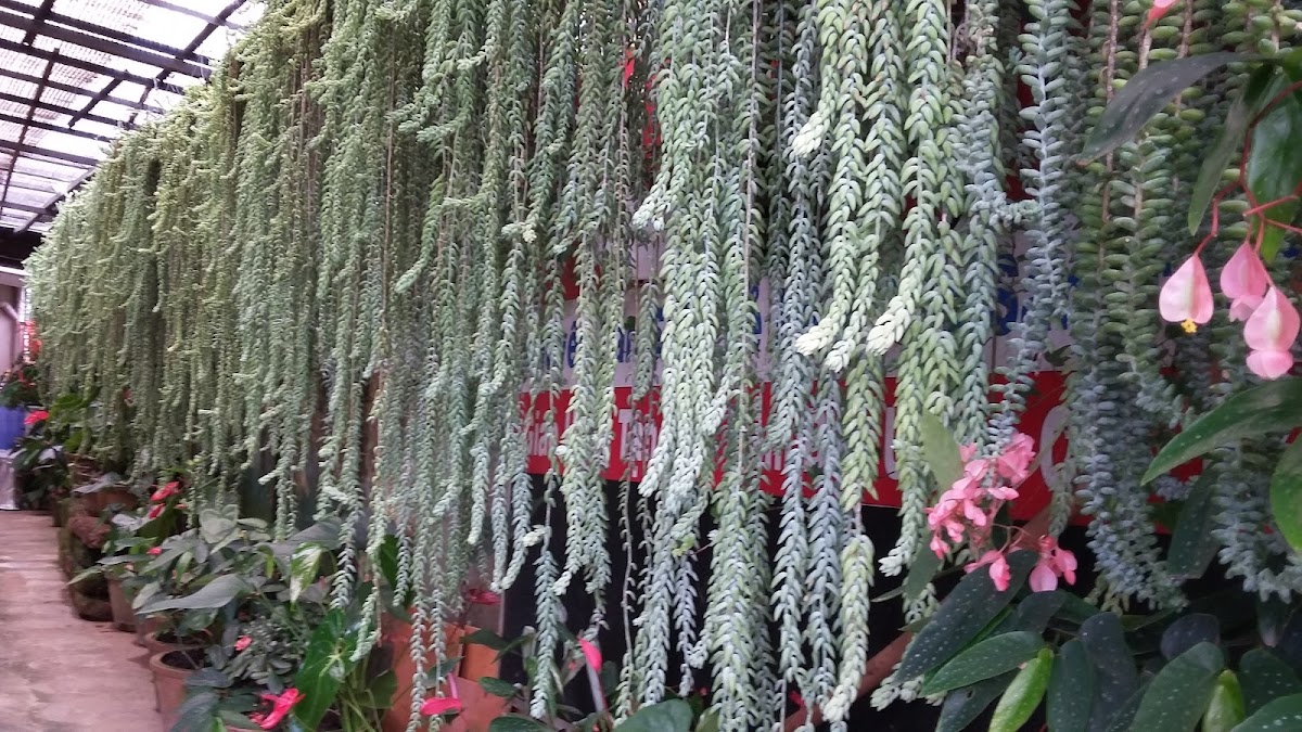 Cà phê Điểm Hẹn - 3