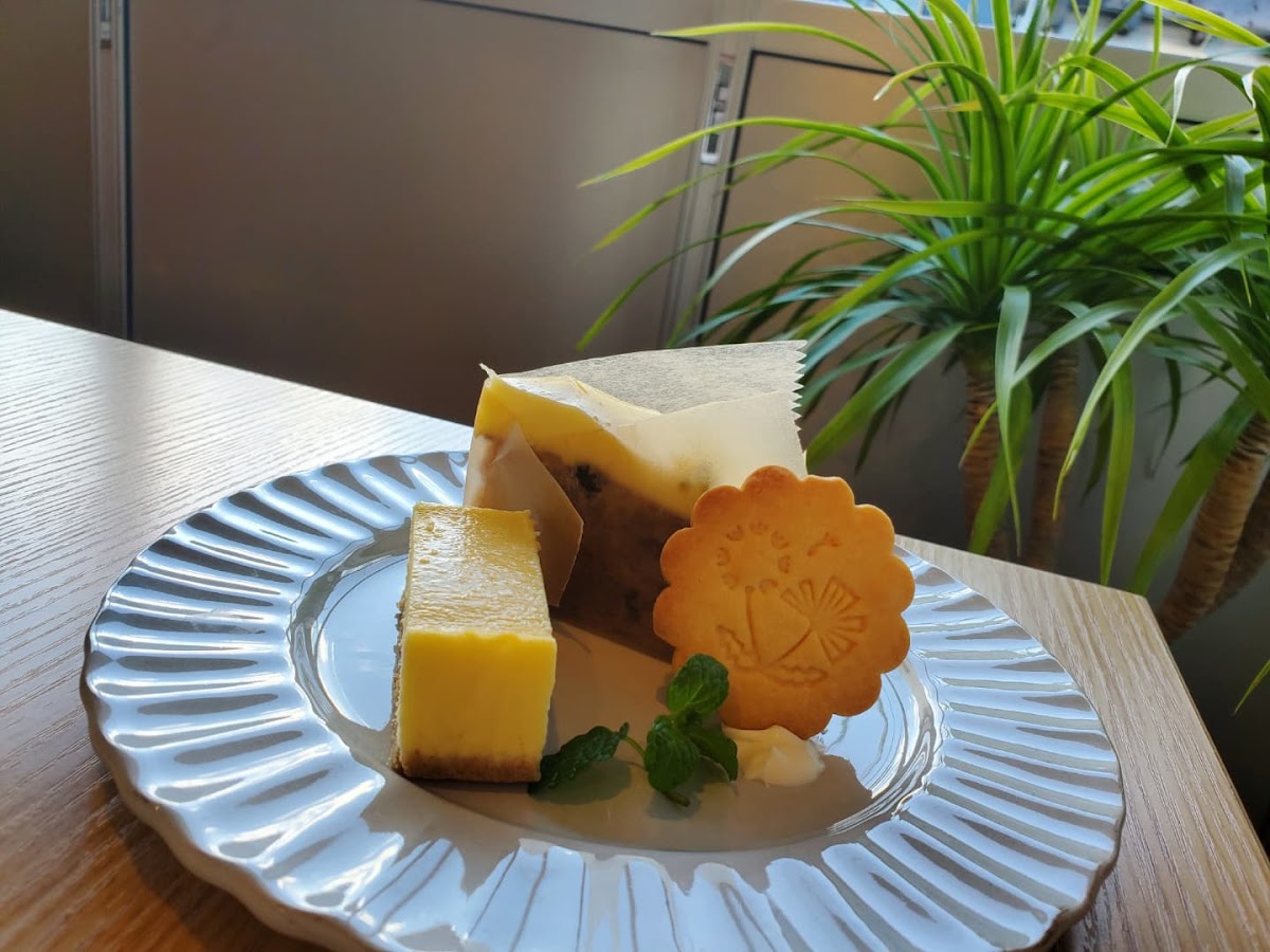 Shikanokura Coffee - 9