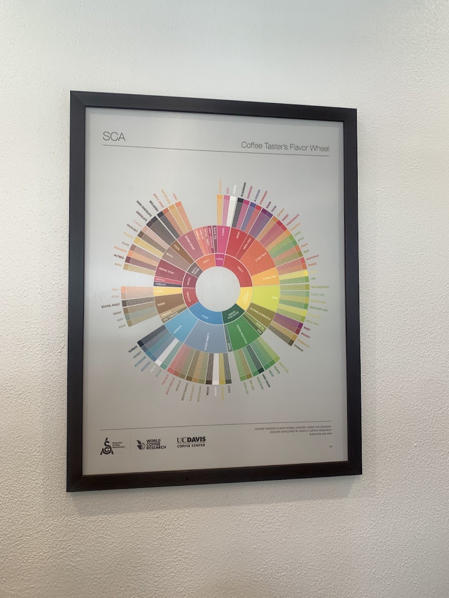 FIRST CRACK COFFEE - HOME CAFÉ - 4