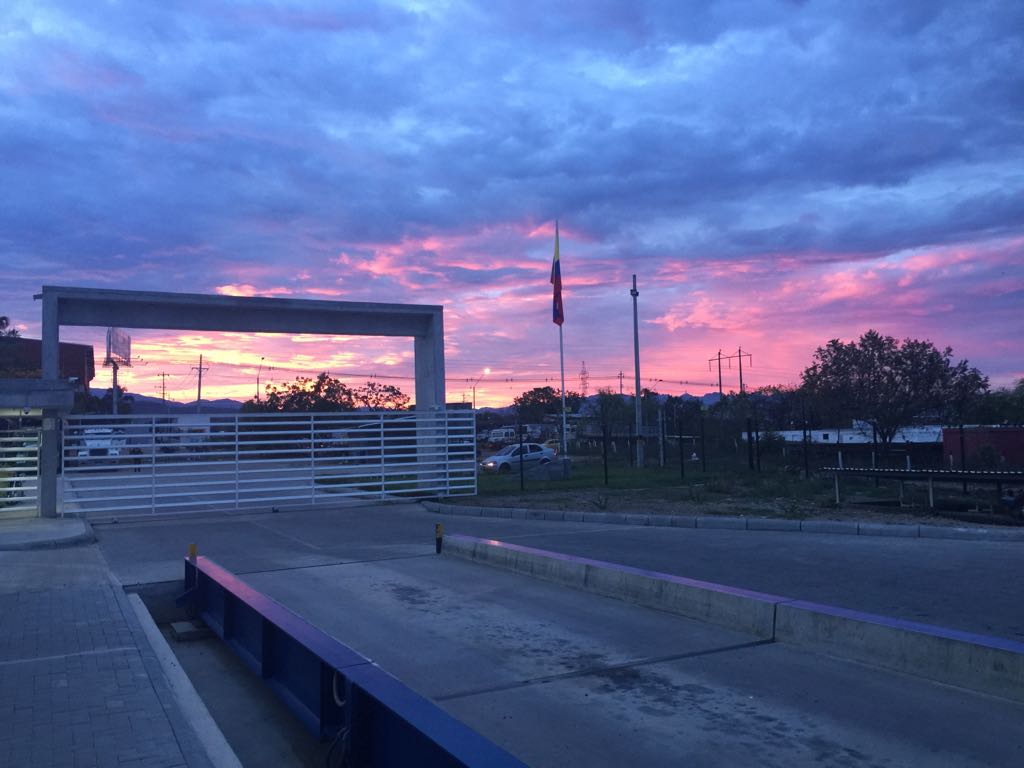 Trilladora Racafe Palermo