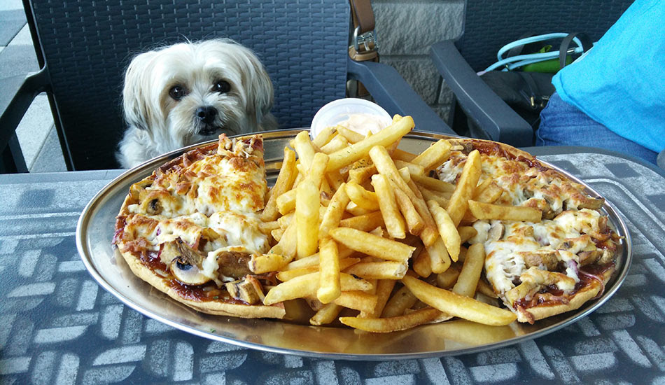 INSTANT SERVICES S.A - 4