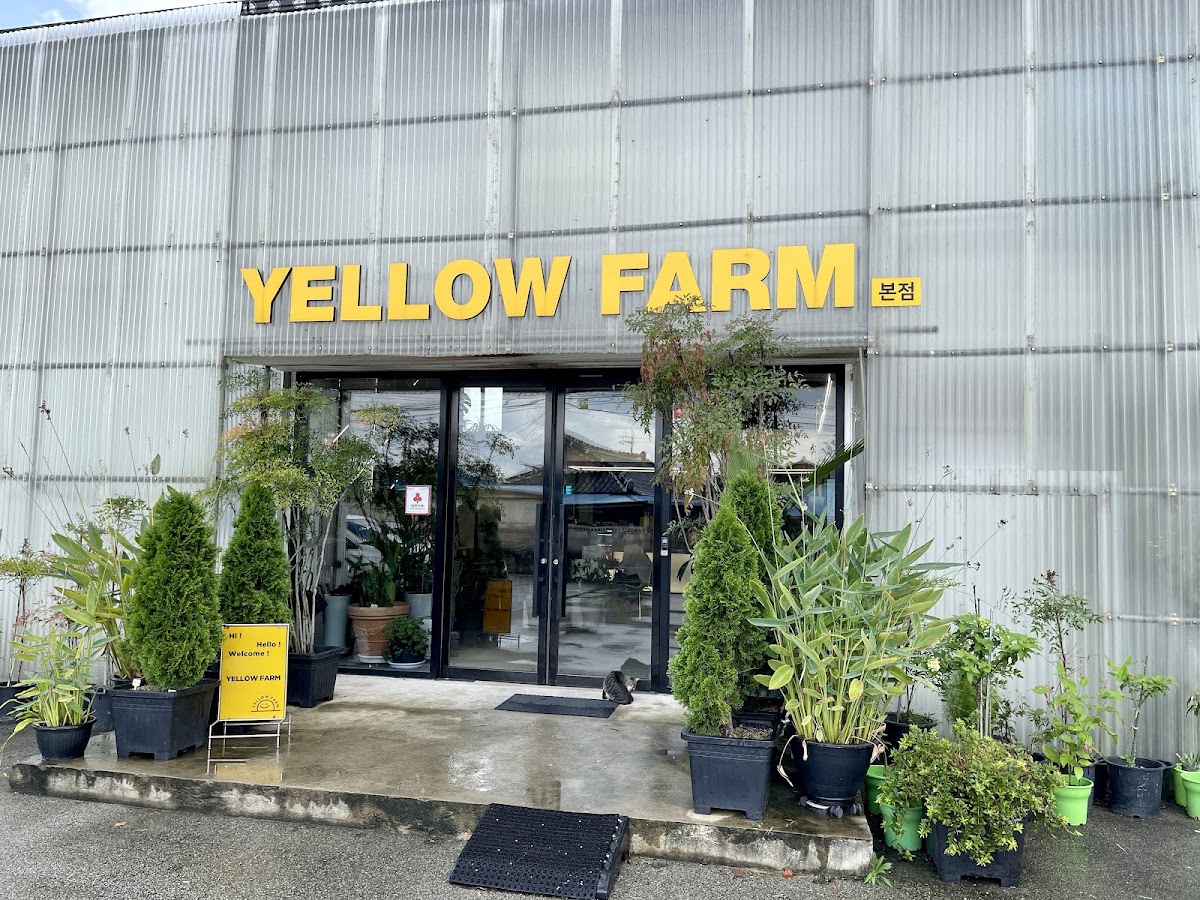 Yellow Farm