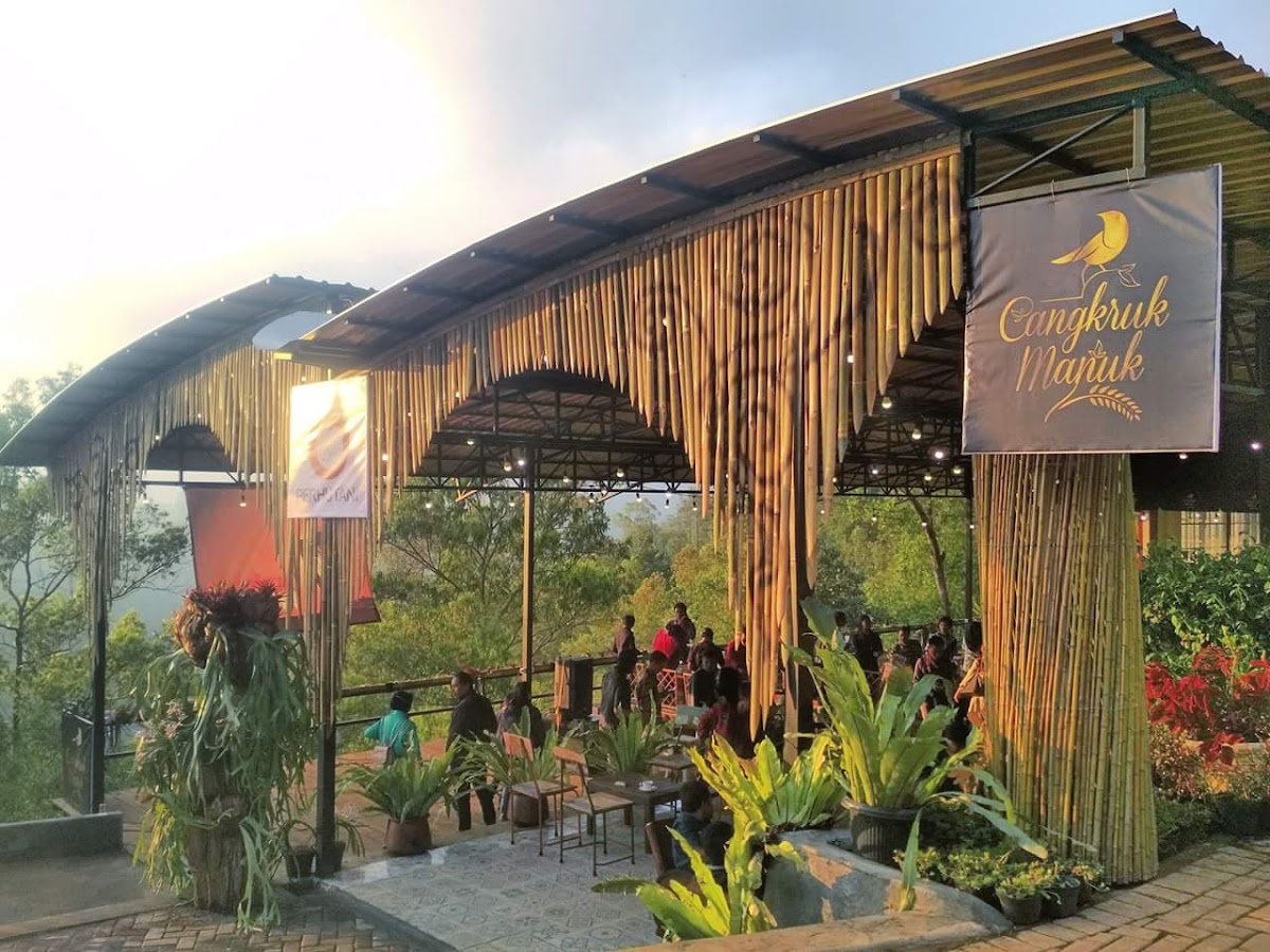 Cangkruk Manuk