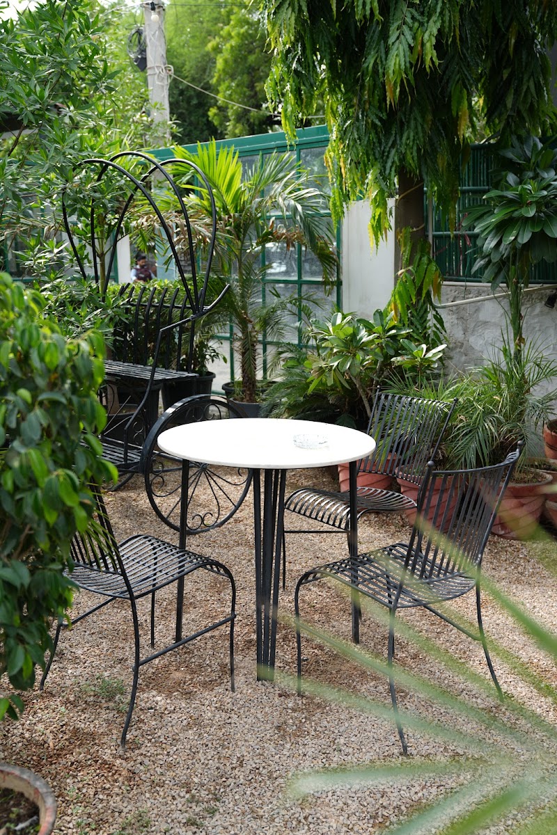 Rango Cafe & Kitchen (Best Cafe in Vaishali)