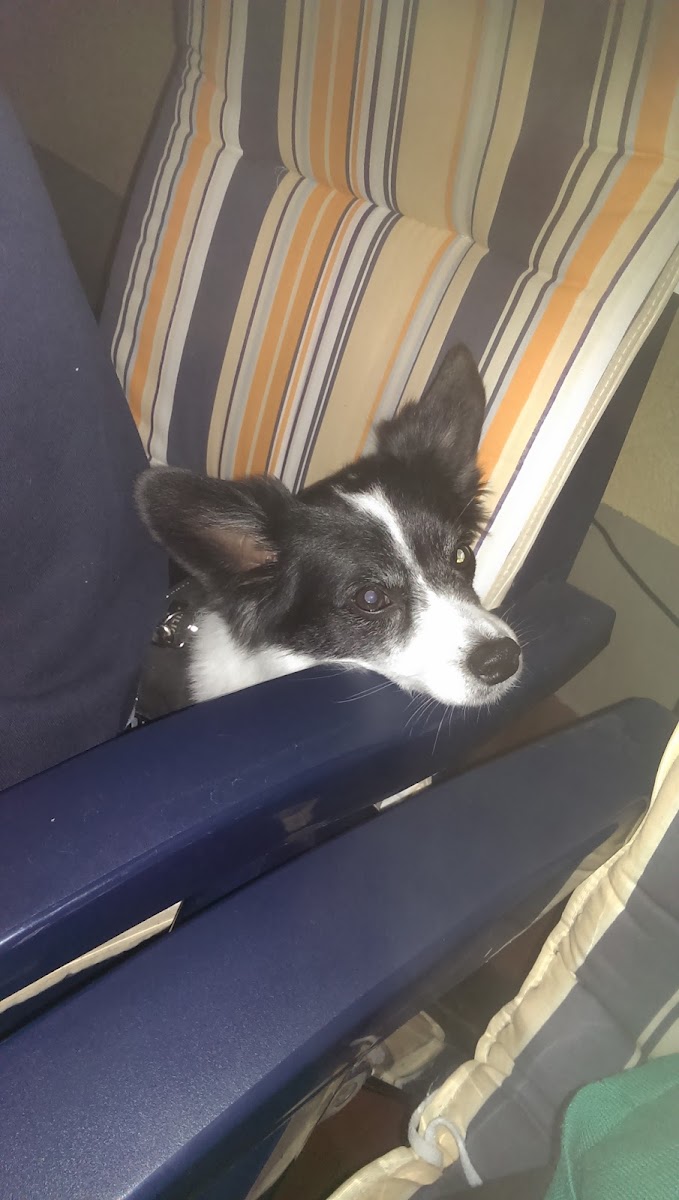 Brigitte Grahn Sauna-Cafe