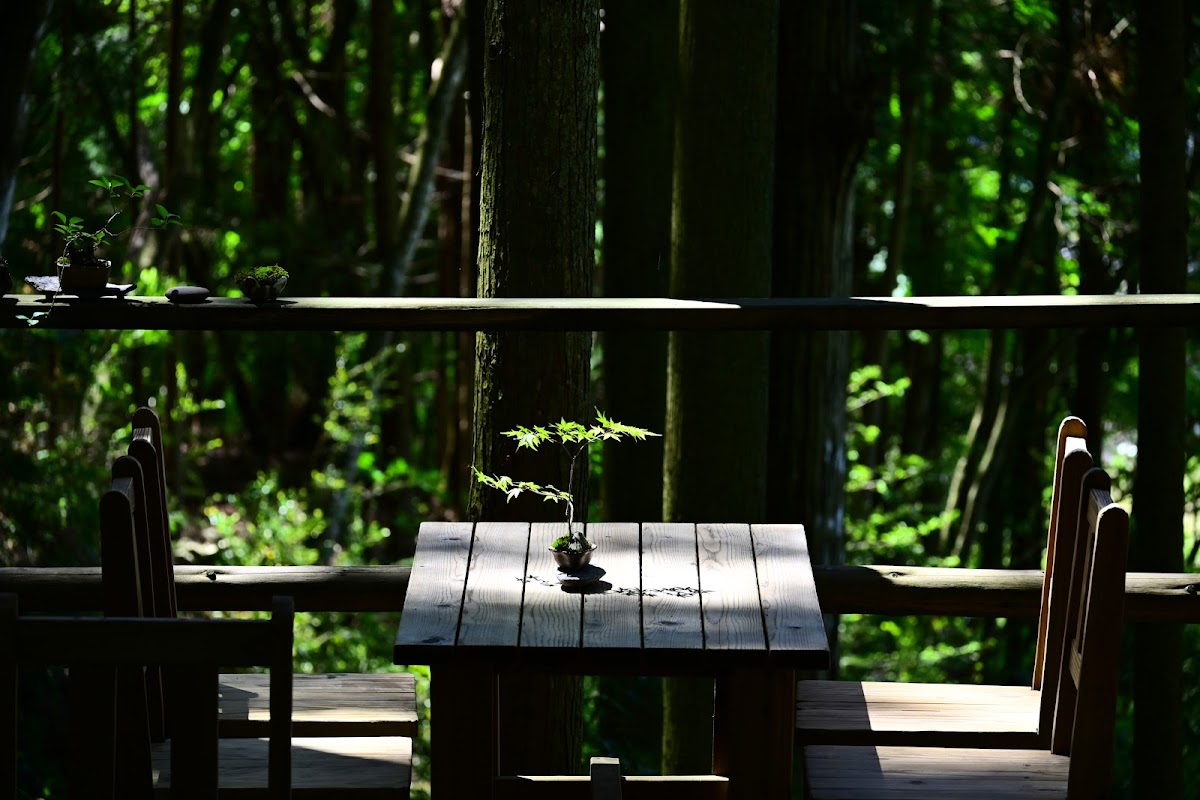 Kokemushiro Moss Garden Cafe