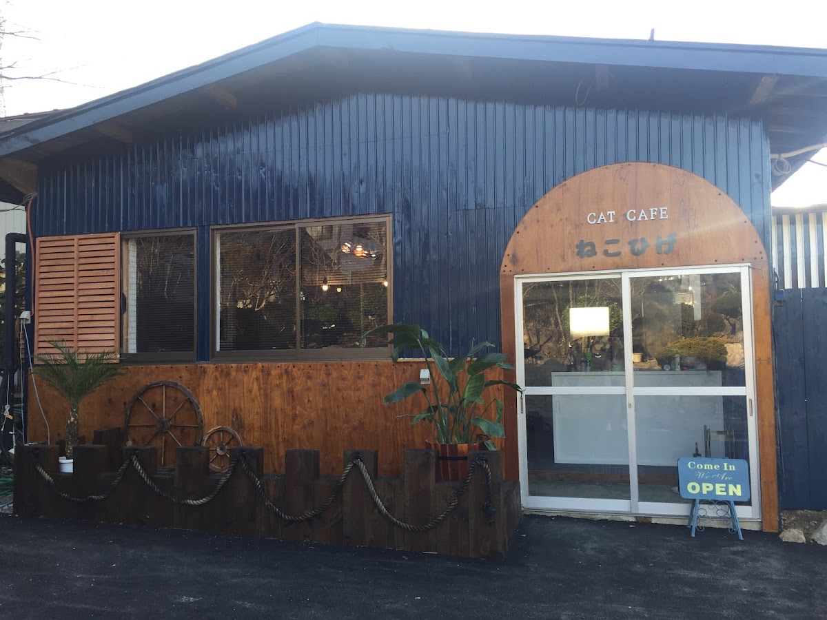 Cat Café Neko Hige