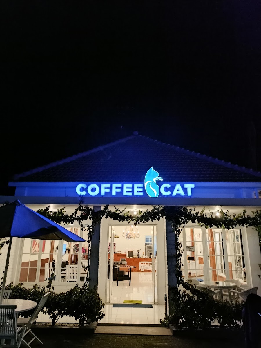 Coffee Cat - Bromo