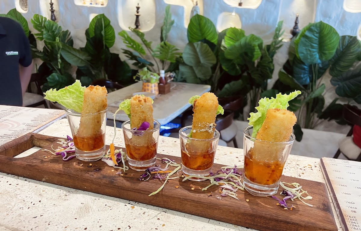 Chai Churi Barnala - 5