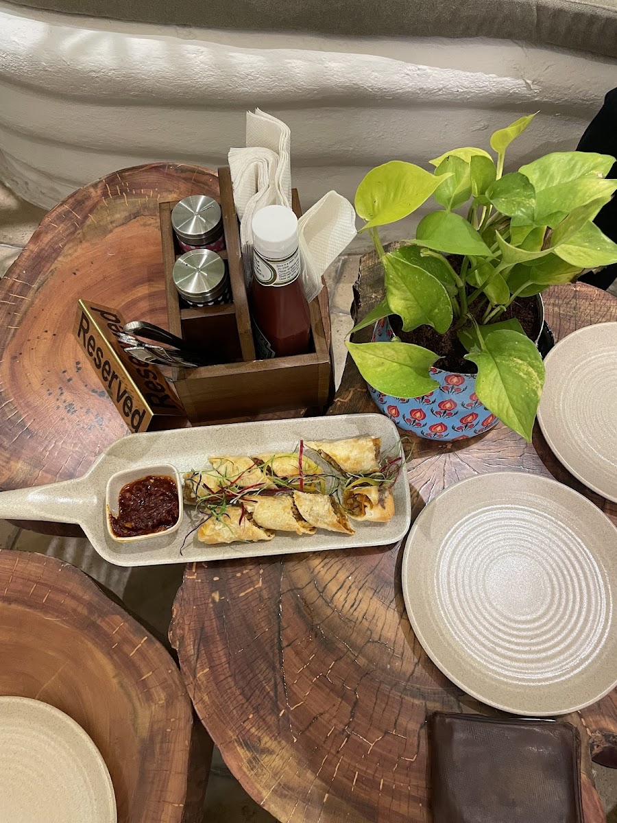 Chai Churi Barnala - 6