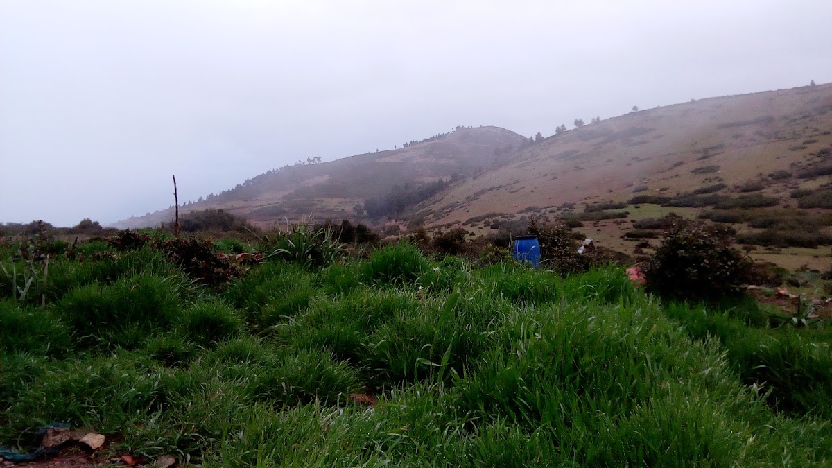 Café Jabal Tidghine