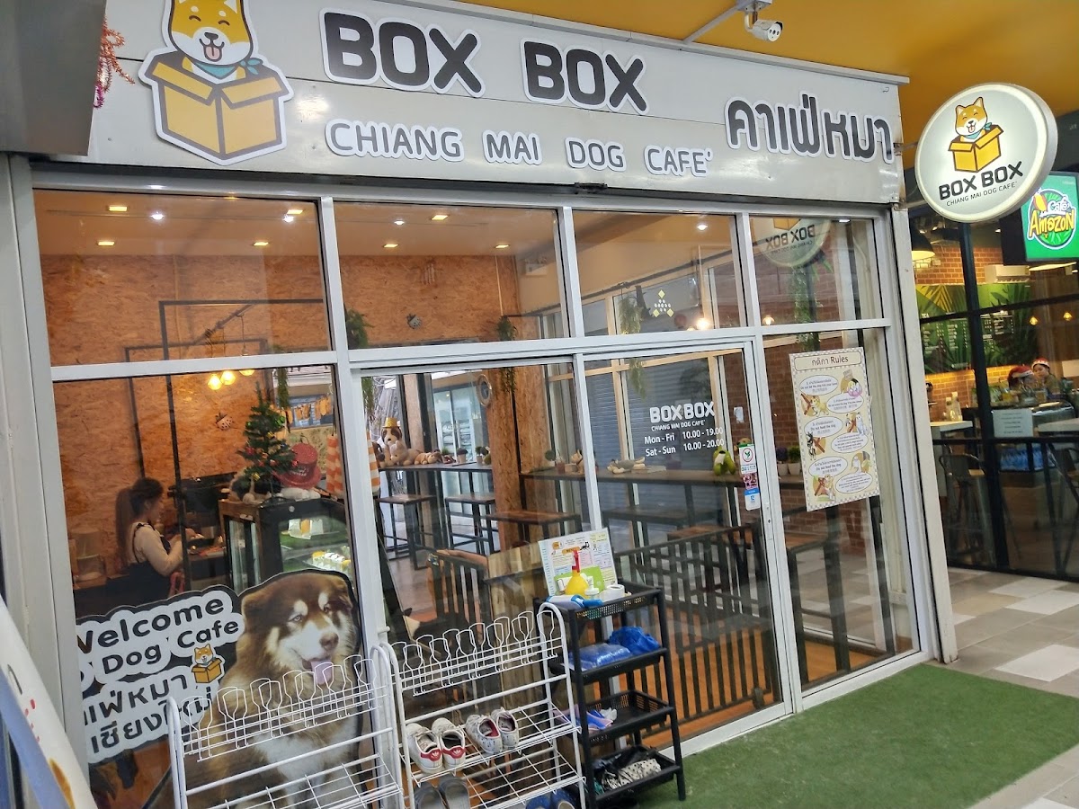 Box Box Dog Cafe